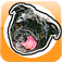Pug Mop Screen